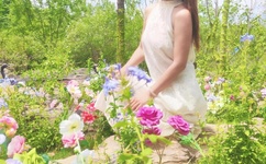 腿张大点我就可以吃到扇贝了图片